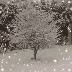 Meet your Posher, Marisol